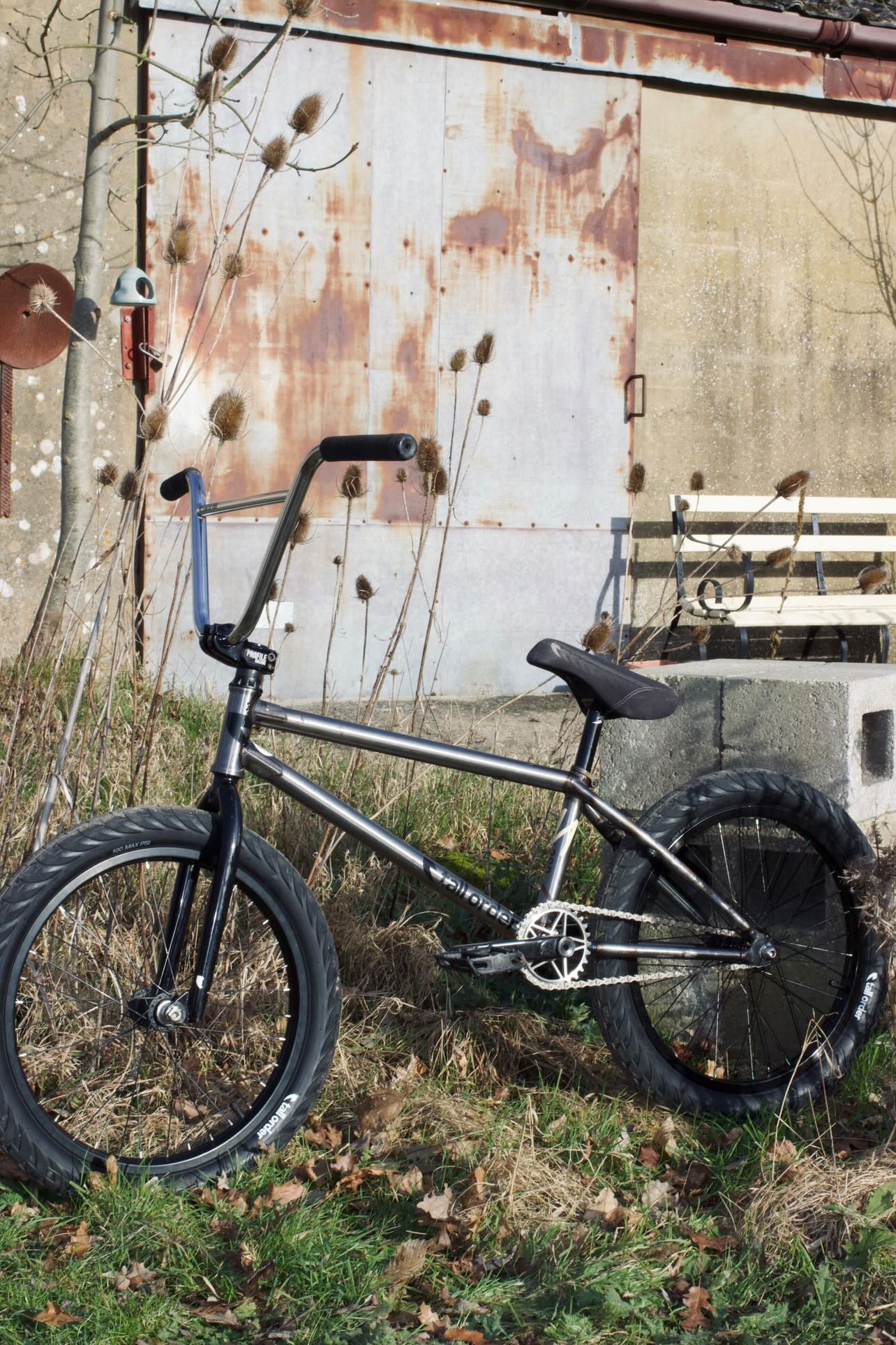 Pentra 'Gram Steel bmx sprocket