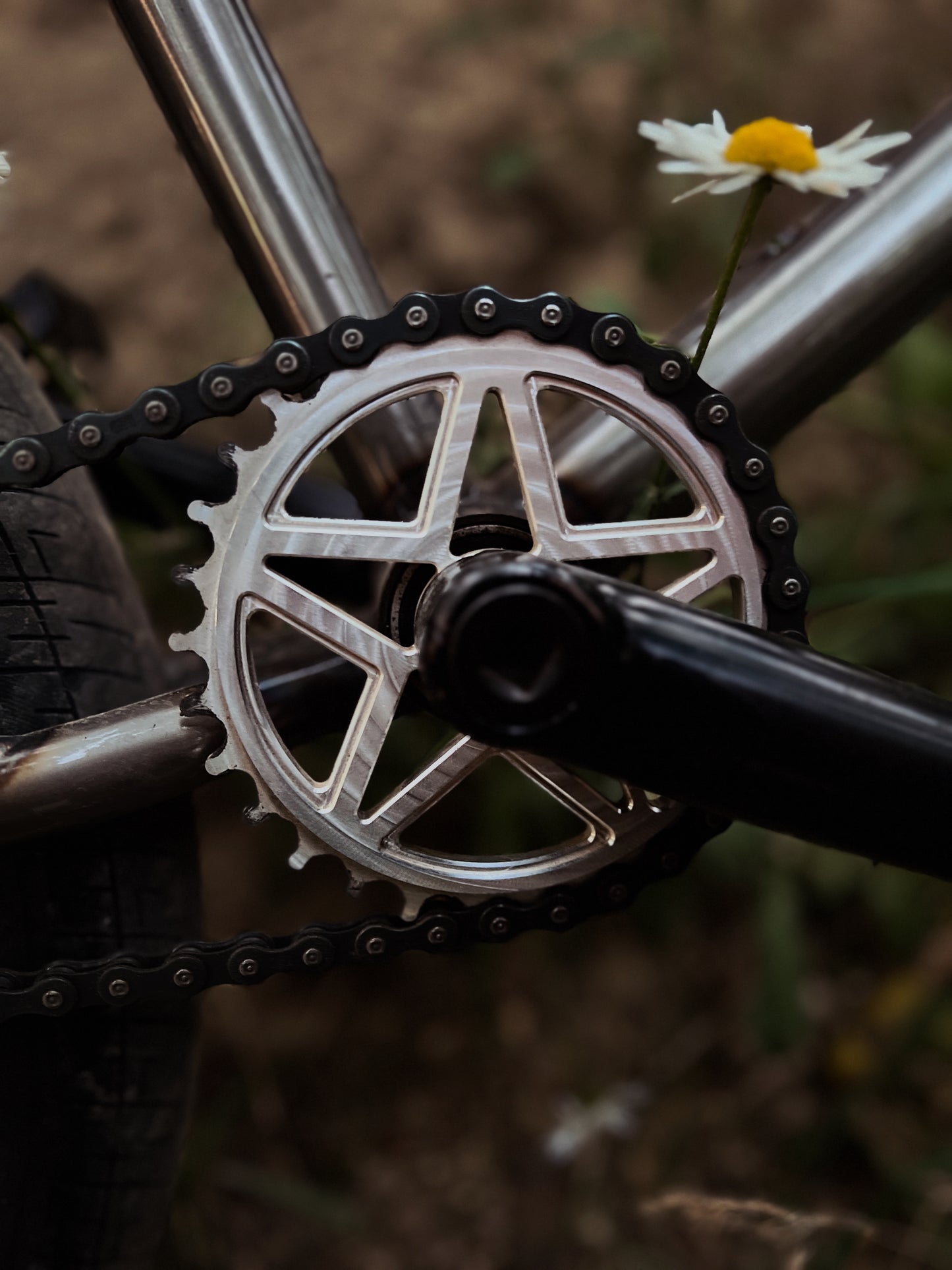 Isogram sprocket